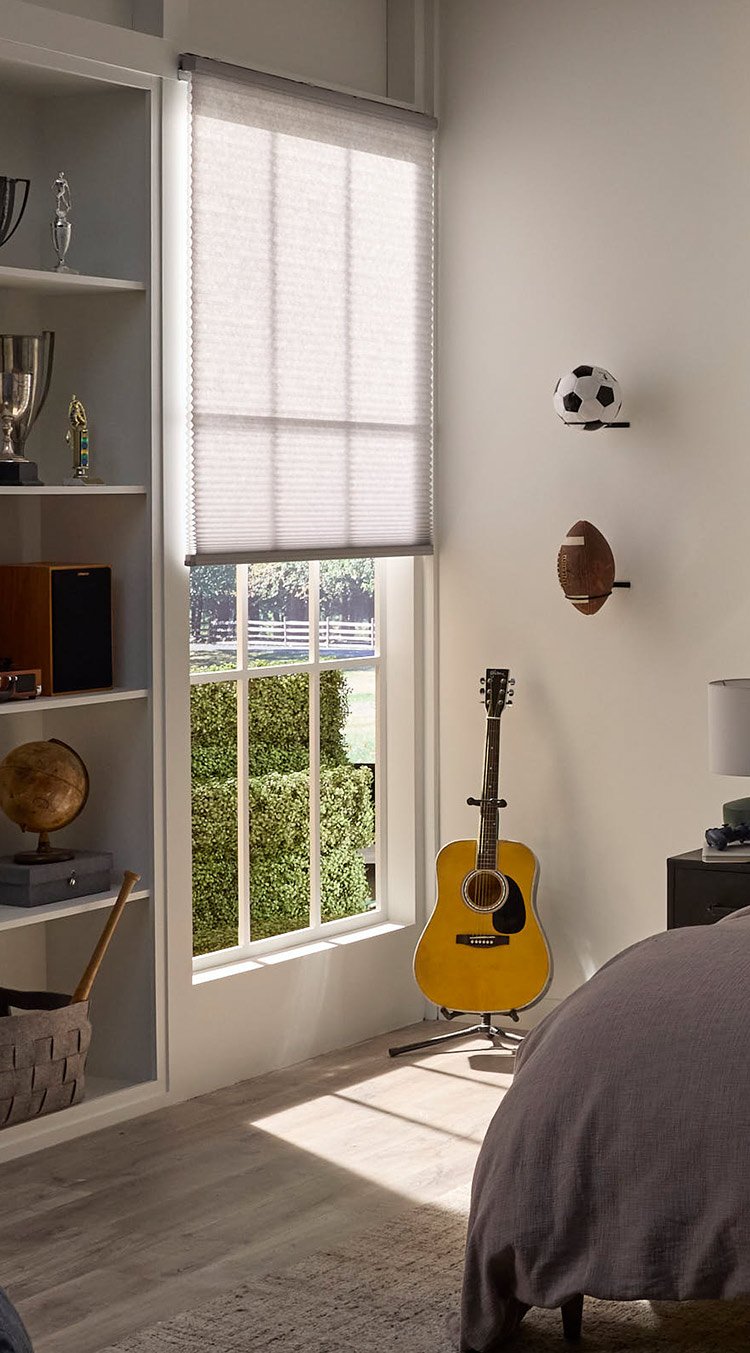 Lutron Caseta Smart Shades Image 1