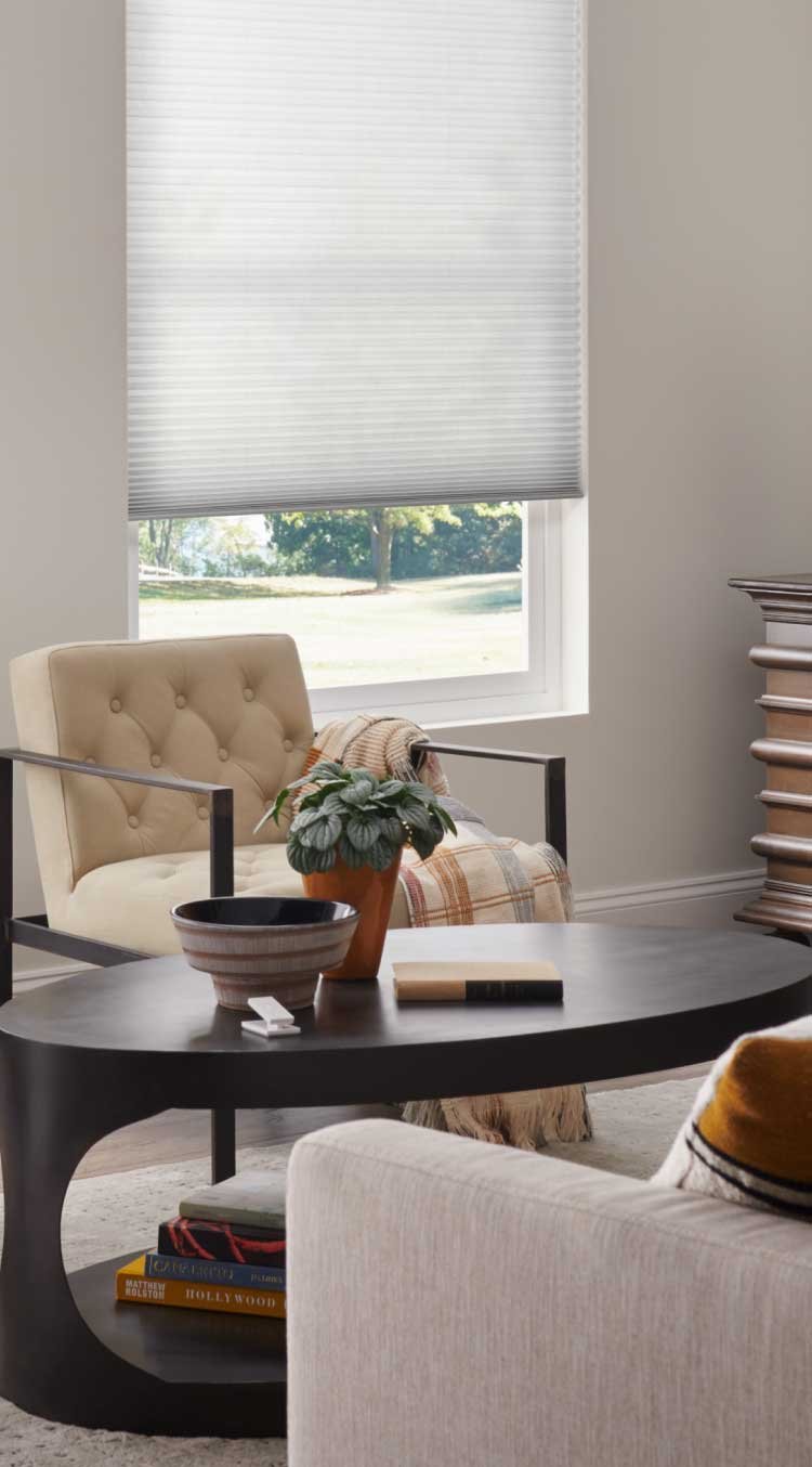 Lutron Caseta Smart Shades Image 3