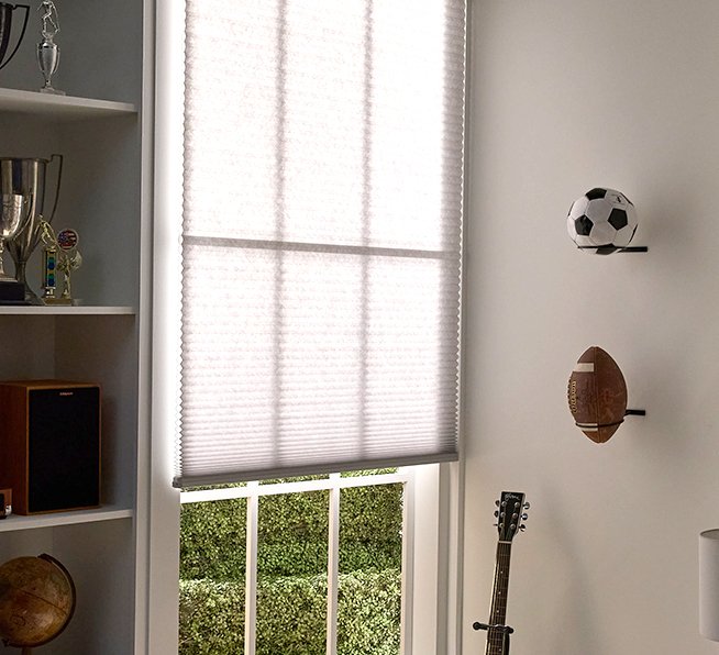 Lutron Caseta Smart Shades Image 4