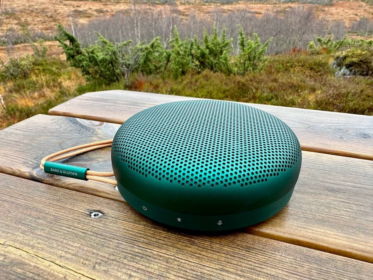 Bang & Olufsen Beosound A1 Gen 2 Image 2
