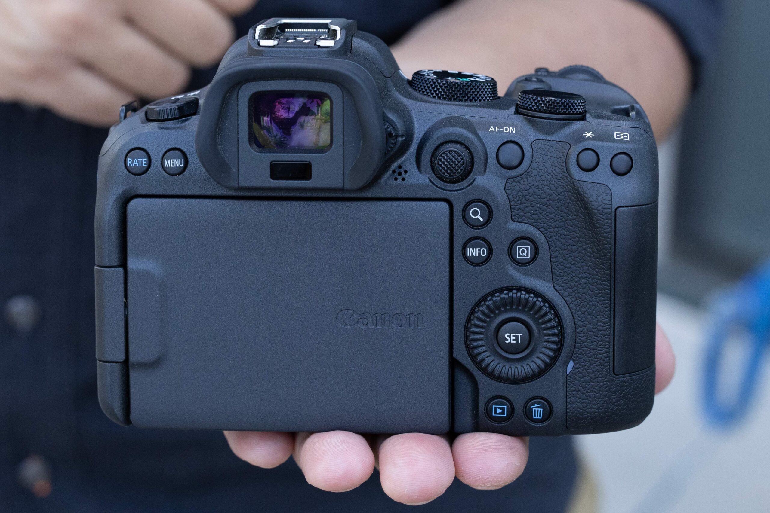 Canon EOS R6 Mark II Image 1