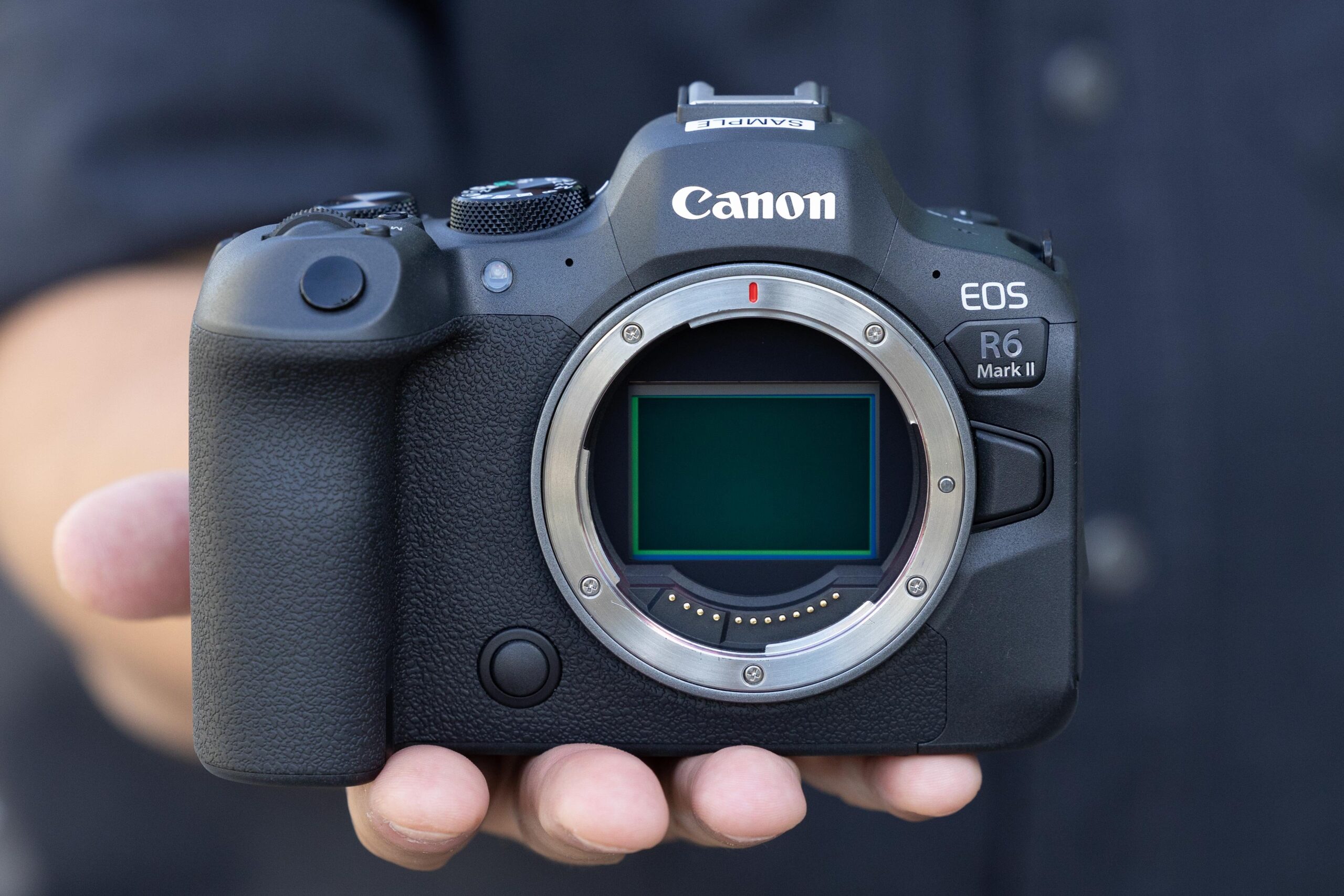 Canon EOS R6 Mark II Image 4