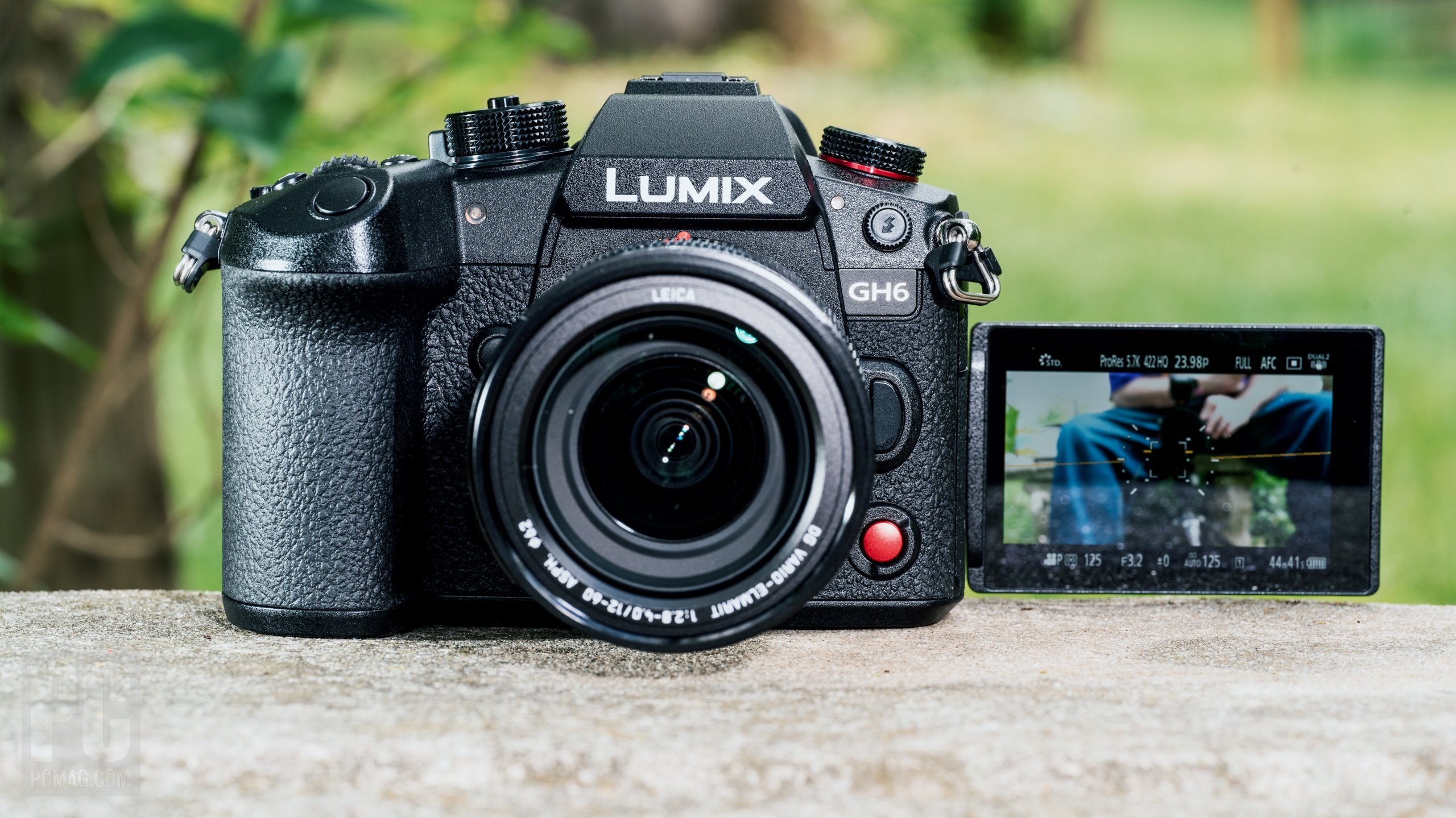 Panasonic GH6 Image 2