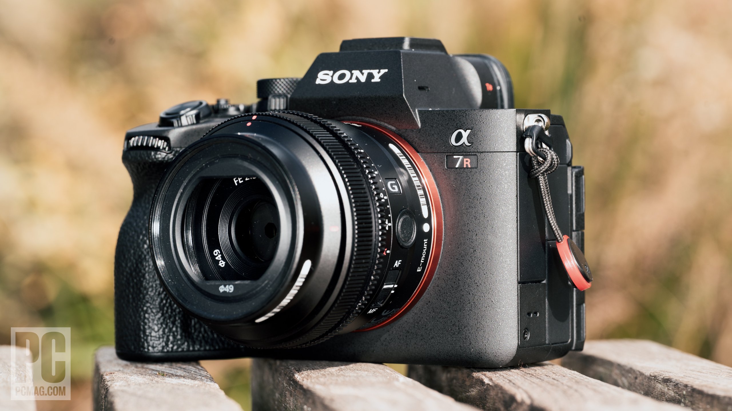 Sony a7R V Image 3