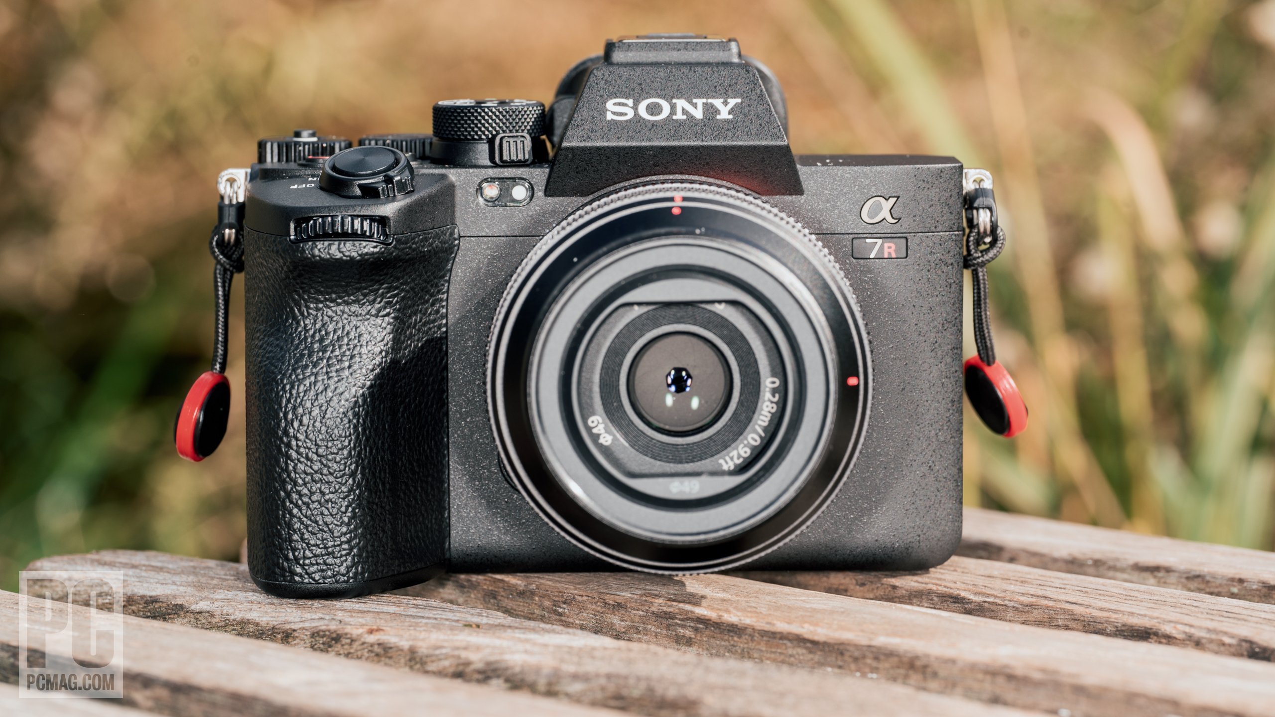 Sony a7R V Image 4