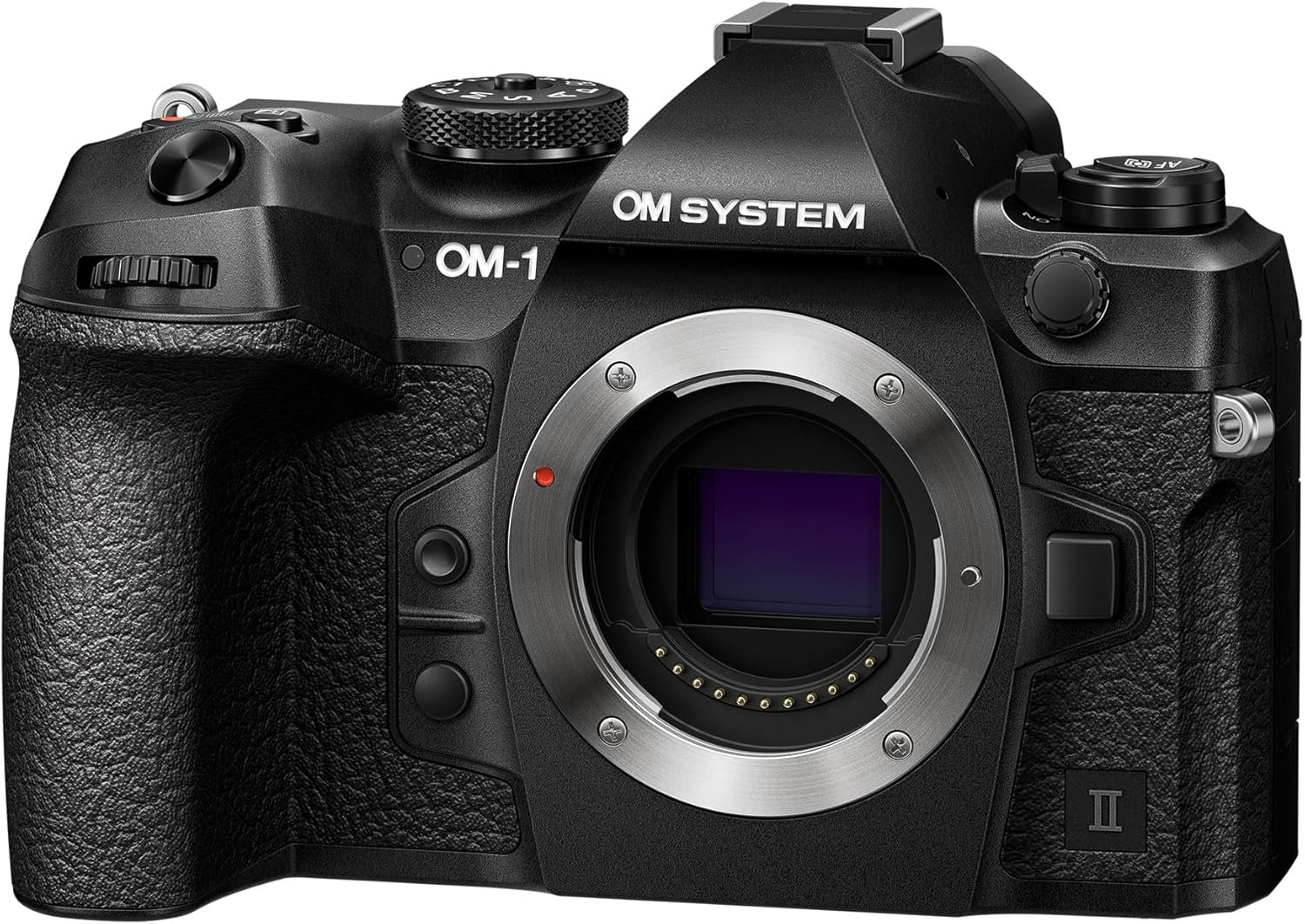 OM System OM-1 Mark II Image 2