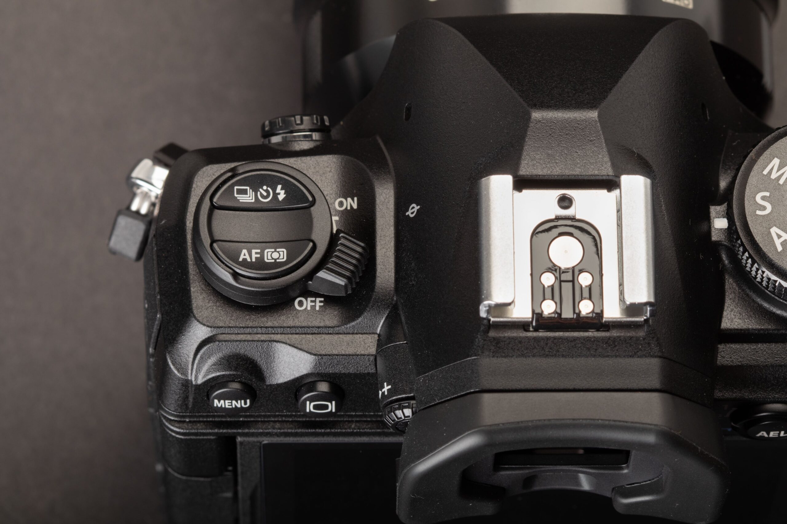 OM System OM-1 Mark II Image 4