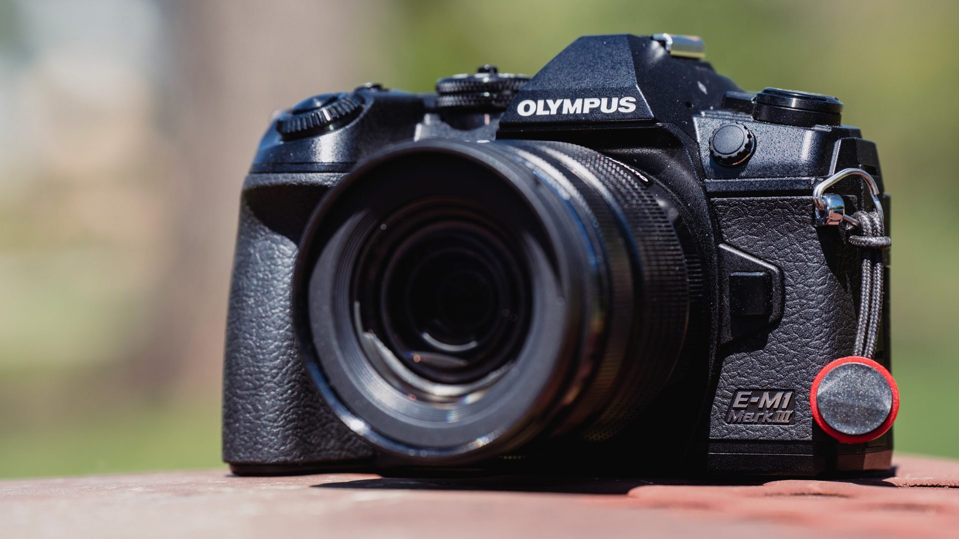 Olympus OM-D E-M1 Mark III Image 2