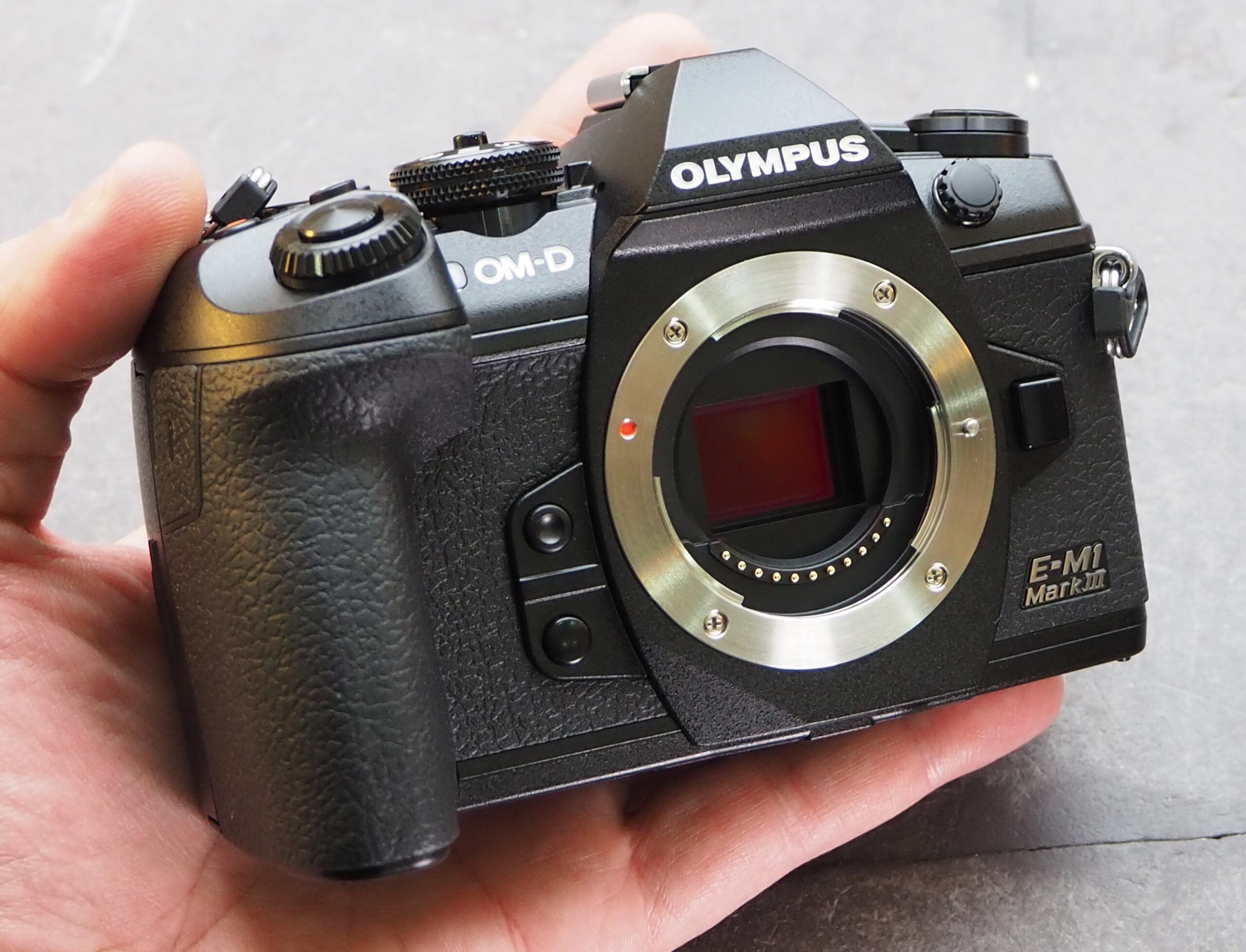 Olympus OM-D E-M1 Mark III Image 4