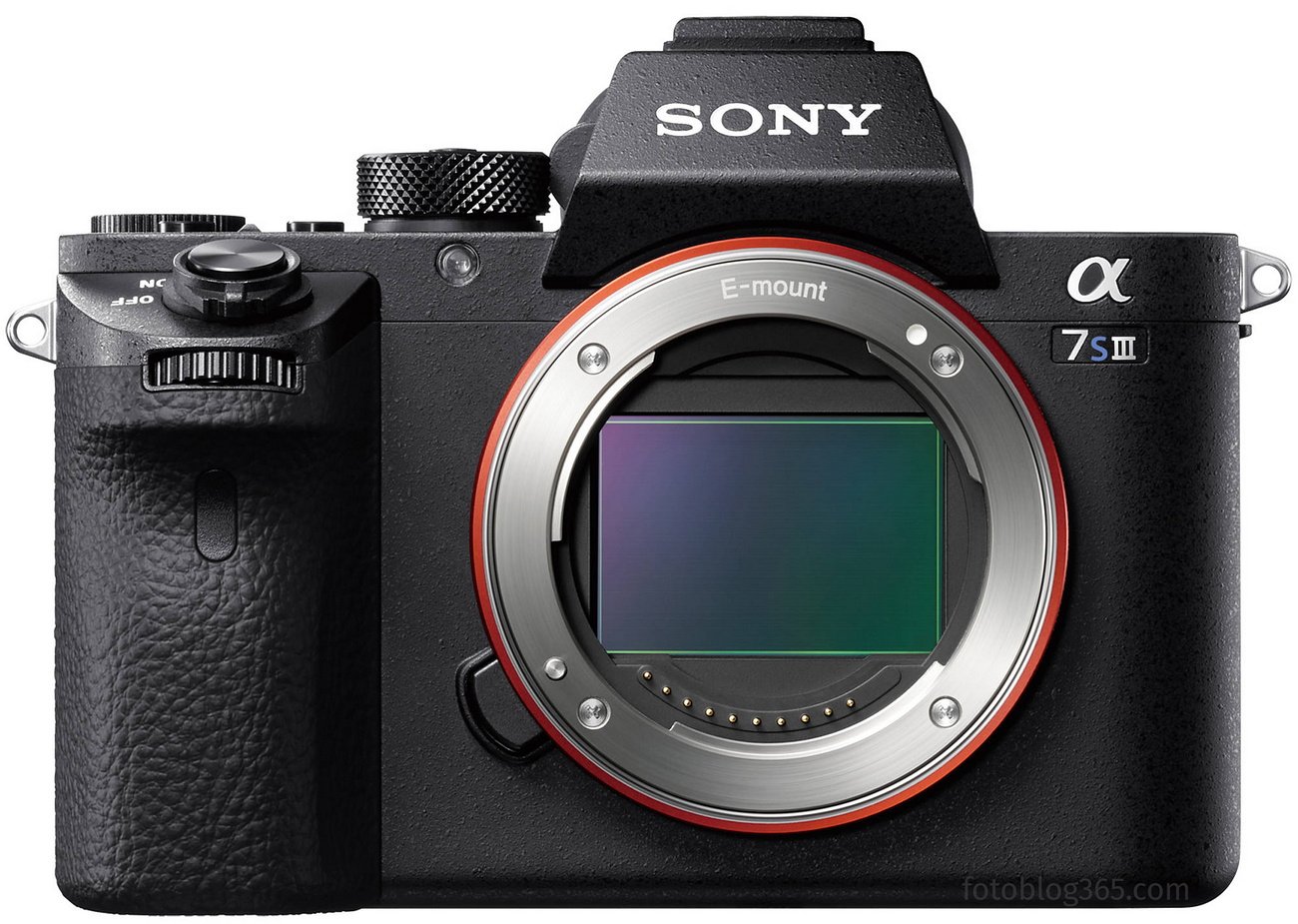 Sony a7S III Image 2