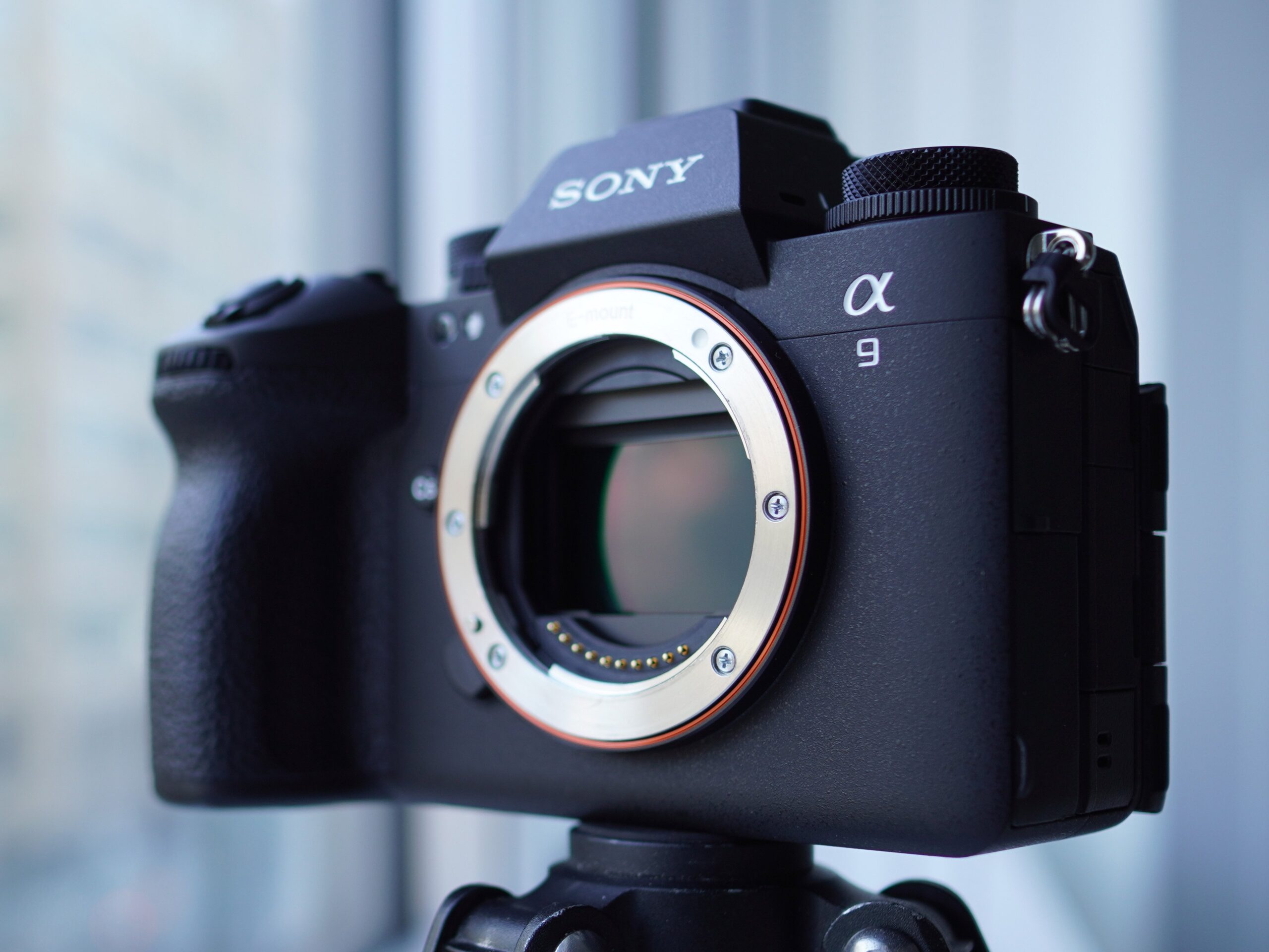 Sony a9 III Image 3