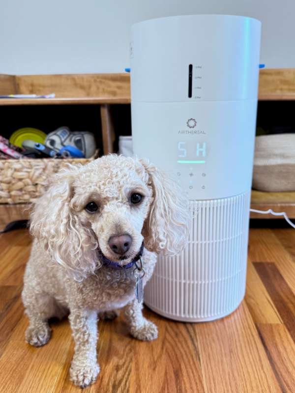 Airthereal Ethereal Rain Air Purifier and Humidifier Combo Image 3