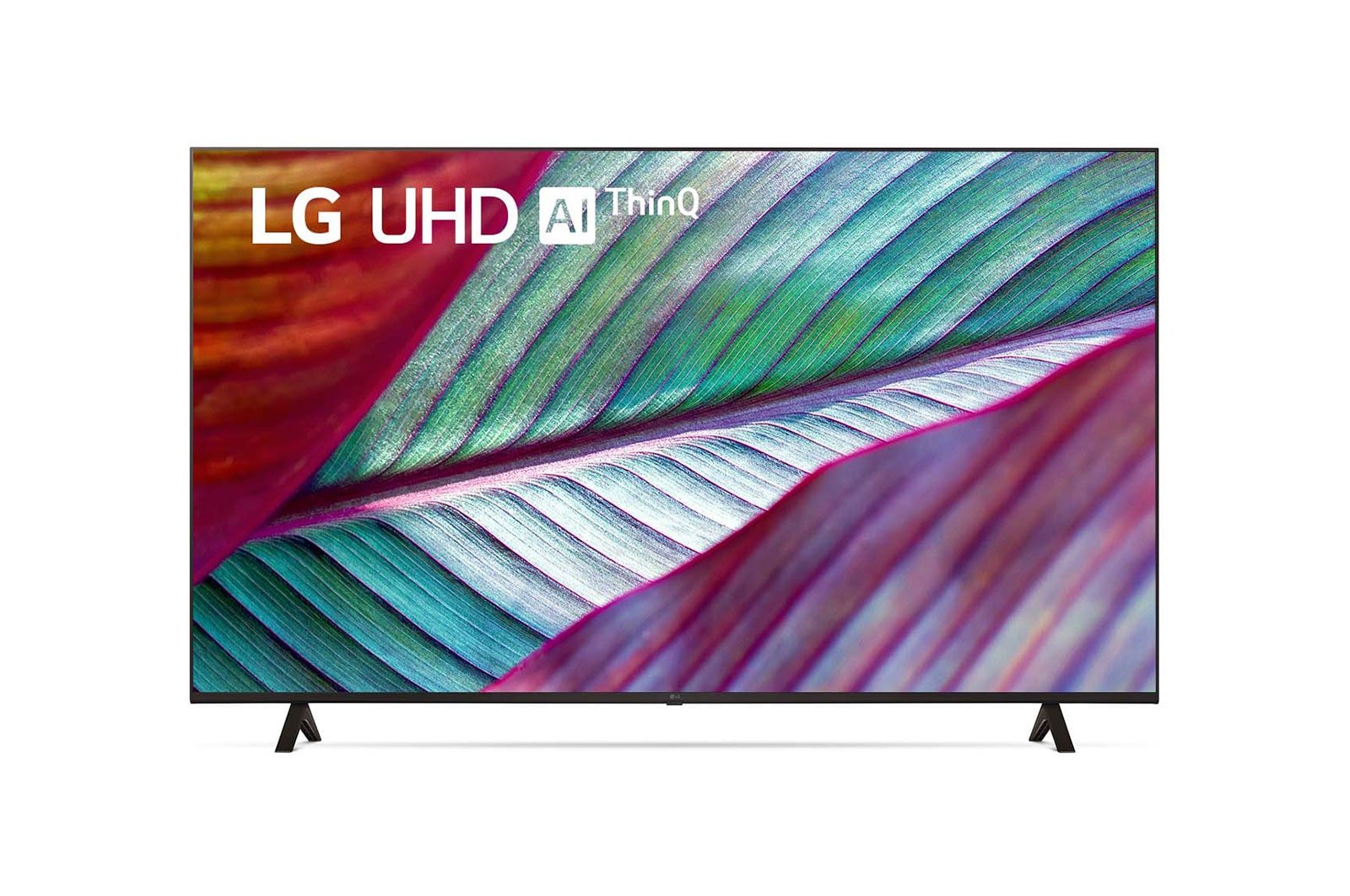 LG OLED evo G4 / C4 Series (2024 Models) Image 1