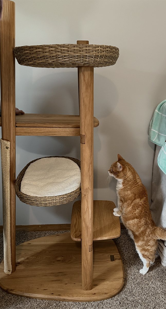 Mau Reiya cat tree Image 2