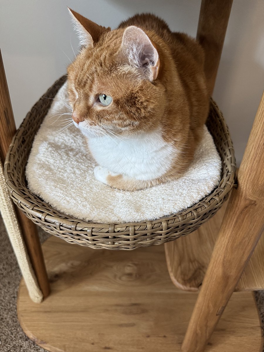 Mau Reiya cat tree Image 4