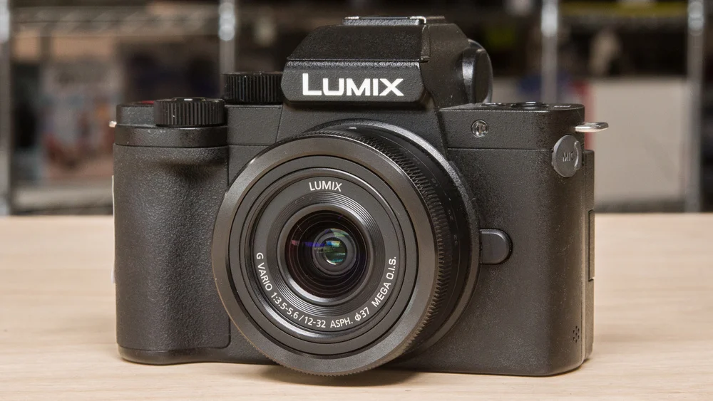 Panasonic Lumix G100 - detail closeup