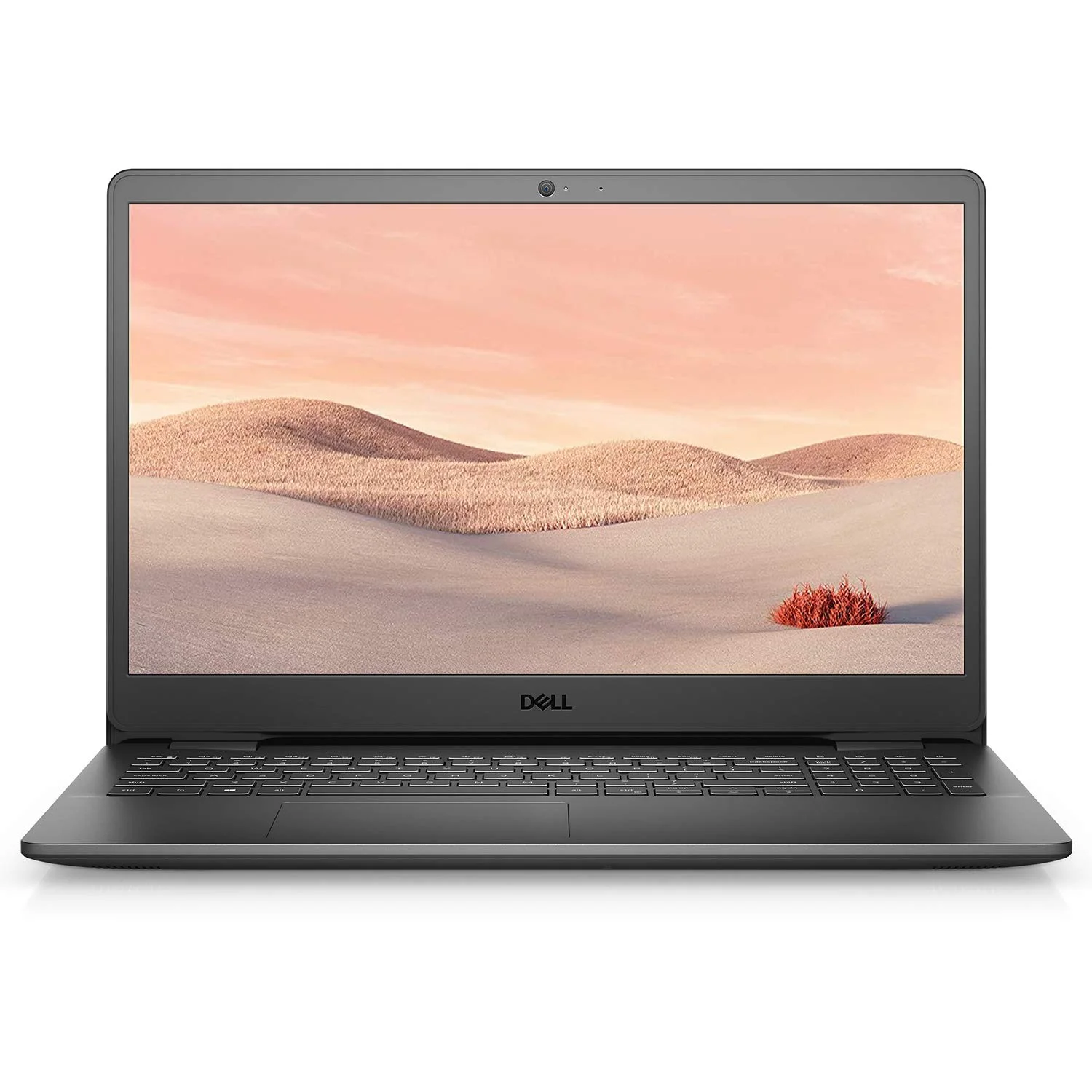 Dell Inspiron 15 3000 (2025 Edition) - in-use shot