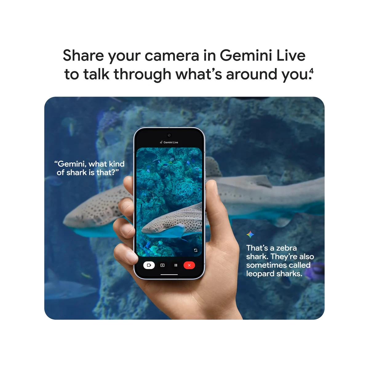 Google Pixel 10 — Amazon gallery image 3